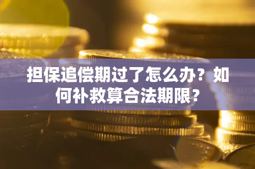 济南担保追偿期过了怎么办？如何补救算合法期限？