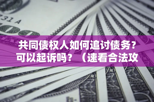 济南共同债权人如何追讨债务？可以起诉吗？（速看合法攻略）