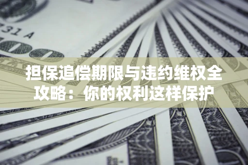 济南担保追偿期限与违约维权全攻略：你的权利这样保护